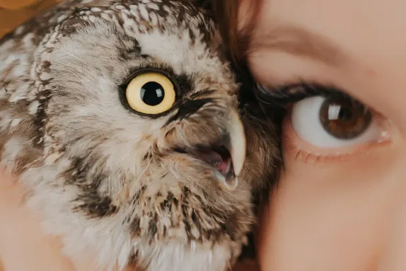 CasinoCasino Kasino Support